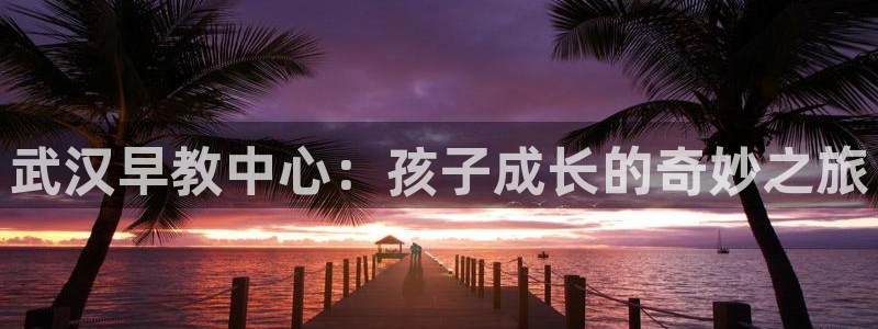 天顺娱乐邪78778卧：武汉早教中心：孩子成长的奇妙之旅