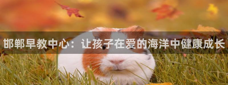 天顺娱乐招商义判官333OO：邯郸早教中心：让孩子在爱的海洋中健康成长