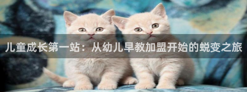 新人开播娱乐聊天顺口溜：儿童成长第一站：从幼儿早教加盟开始的蜕变之旅