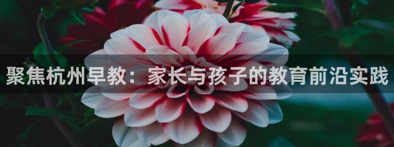 天顺娱乐千v96303：聚焦杭州早教：家长与孩子的教育前沿实践