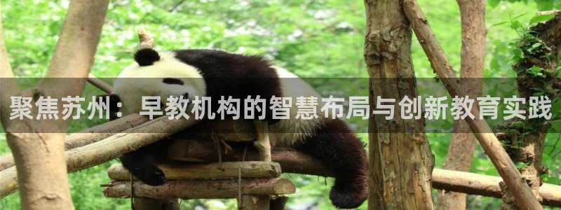 天顺娱乐任943994：聚焦苏州：早教机构的智慧布局与创新教育实践