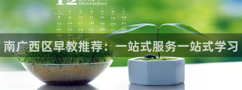 天顺娱乐开发商：南广西区早教推荐：一站式服务一站式学习
