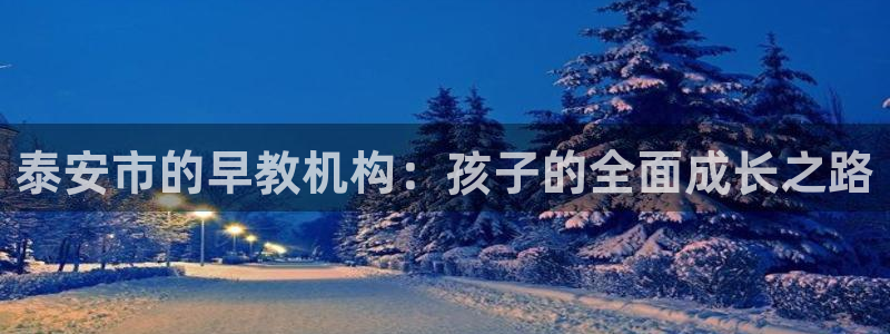 天顺娱乐冠3300：泰安市的早教机构：孩子的全面成长之路