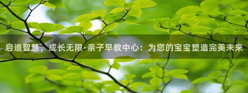 天顺娱乐紫70 48扣：启迪智慧，成长无限-亲子早教中心：为您的宝宝塑造完美未来