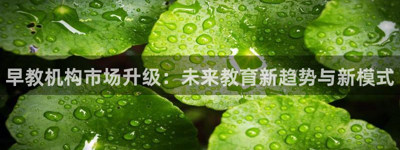 天顺娱乐主管着：早教机构市场升级：未来教育新趋势与新模式