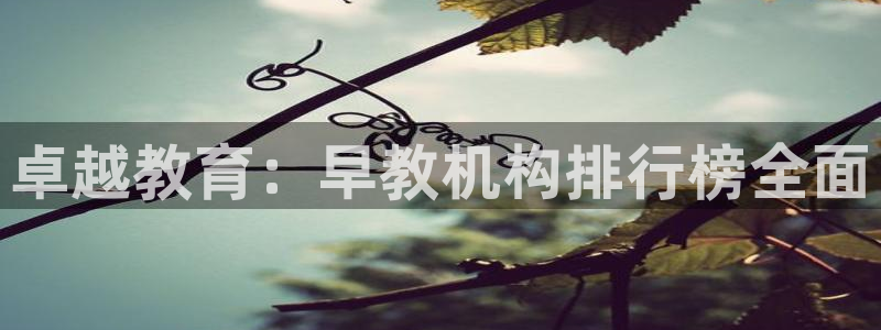 天顺娱乐 直d招22999：卓越教育：早教机构排行榜全面