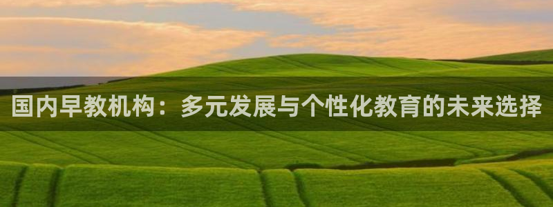 天顺娱乐平台注册登录：国内早教机构：多元发展与个性化教育的未来选择