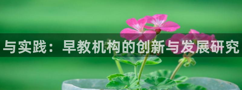 天顺娱乐不q96303：与实践：早教机构的创新与发展研究