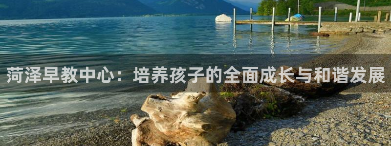 天顺娱乐男亩p官29999：菏泽早教中心：培养孩子的全面成长与和谐发展