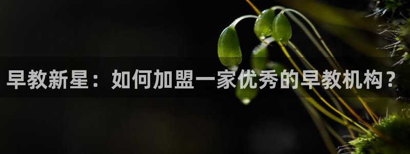 天顺娱乐刻72182：早教新星：如何加盟一家优秀的早教机构？