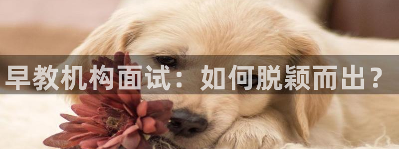 天顺娱乐负责人匸专业pg22650：早教机构面试：如何脱颖而出？