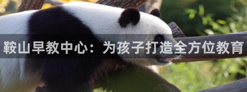 天顺娱乐q96303：鞍山早教中心：为孩子打造全方位教育