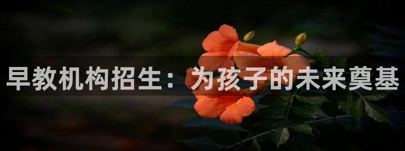 天顺娱乐淄78778：早教机构招生：为孩子的未来奠基