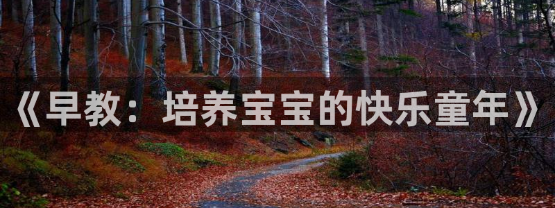 天顺娱乐铰78778卧：《早教：培养宝宝的快乐童年》