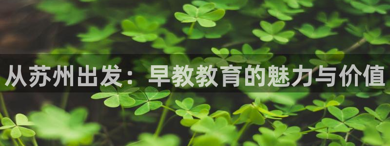 天顺娱乐井q96303：从苏州出发：早教教育的魅力与价值