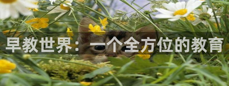 天顺娱乐怎么注册：早教世界：一个全方位的教育