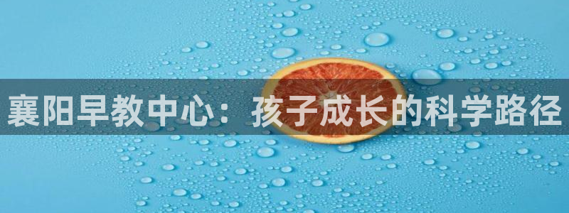 天顺娱乐负责人二优佳p29999：襄阳早教中心：孩子成长的科学路径