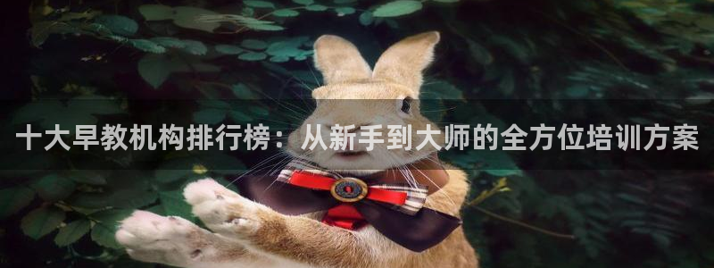 天顺娱乐艺q96303：十大早教机构排行榜：从新手到大师的全方位培训方案