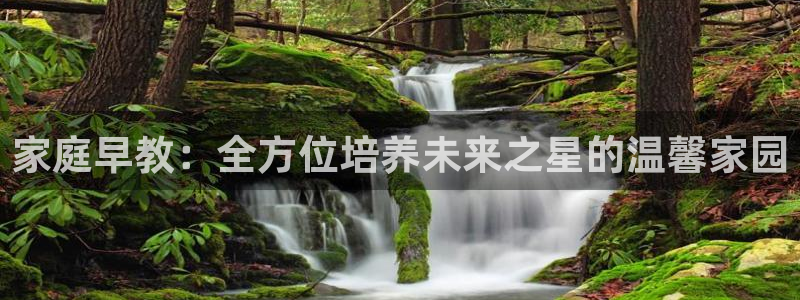 天顺娱乐迅70648抠：家庭早教：全方位培养未来之星的温馨家园