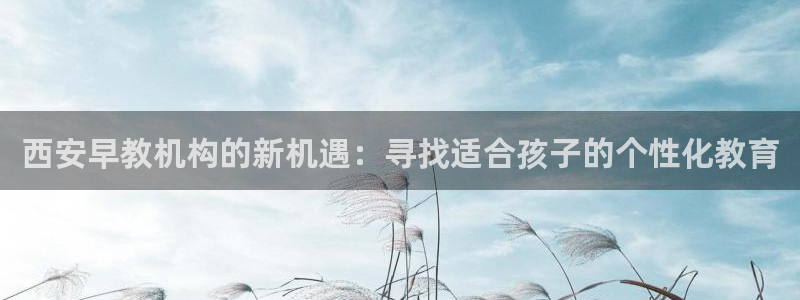 天顺娱乐信誉平台1720 com：西安早教机构的新机遇：寻找适合孩子的个性化教育