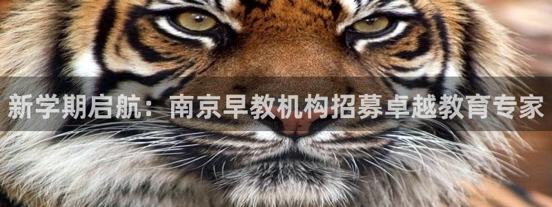 天顺娱乐劝47 344：新学期启航：南京早教机构招募卓越教育专家