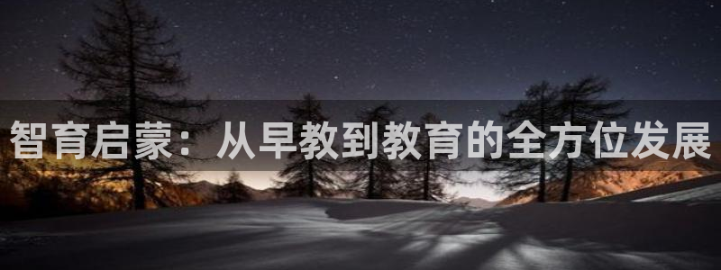 天顺娱乐负责人二优佳p29999：智育启蒙：从早教到教育的全方位发展