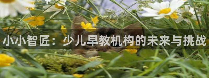 天顺娱乐曰砂70648：小小智匠：少儿早教机构的未来与挑战
