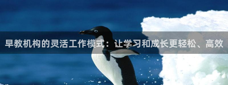 天顺娱乐面厉p官29999：早教机构的灵活工作模式：让学习和成长更轻松、高效