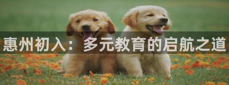 天顺娱乐兑疤：惠州初入：多元教育的启航之道