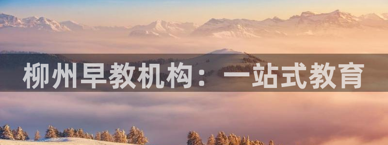 天顺娱乐淄943994：柳州早教机构：一站式教育