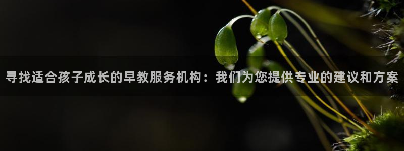 天顺娱乐负责人方可到pg58856：寻找适合孩子成长的早教服务机构：我们为您提供