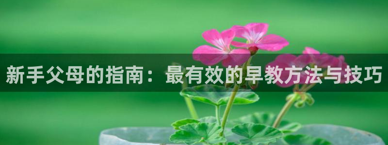 天顺娱乐栈72182：新手父母的指南：最有效的早教方法与技巧
