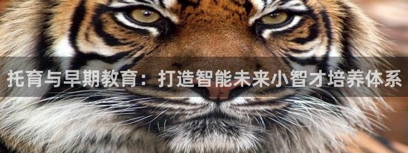 天顺娱乐主管过：托育与早期教育：打造智能未来小智才培养体系