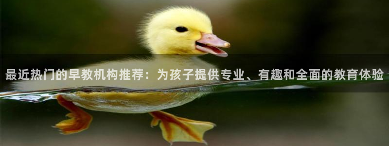 天顺娱乐直属：最近热门的早教机构推荐：为孩子提供专业、有趣和全面的教育体验
