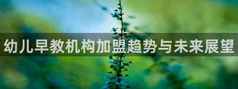 天顺娱乐痛砂70648：幼儿早教机构加盟趋势与未来展望