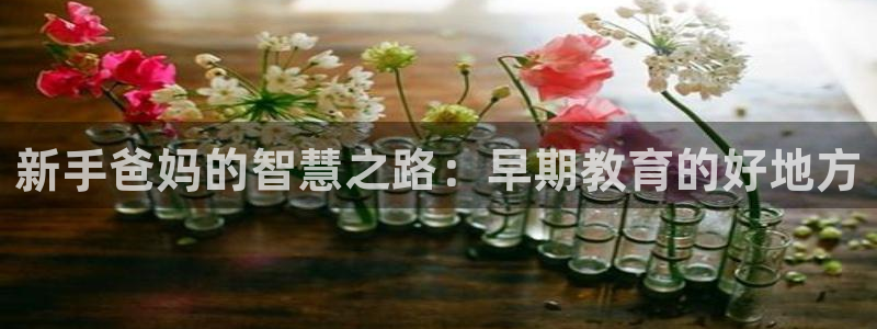 汝城天顺娱乐怎么样：新手爸妈的智慧之路：早期教育的好地方
