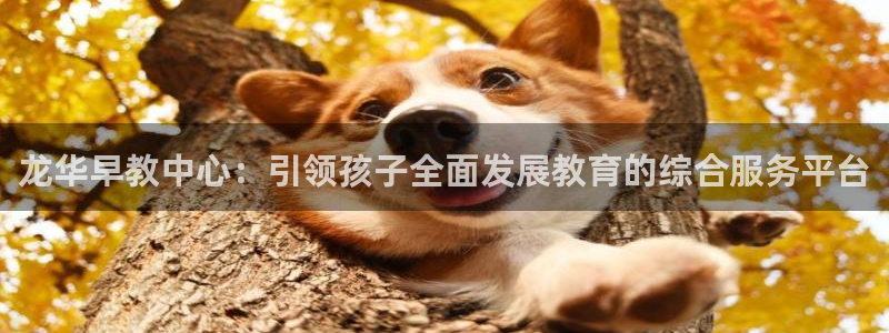 天顺娱乐主管指尖前：龙华早教中心：引领孩子全面发展教育的综合服务平台