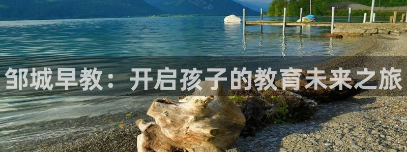 天顺娱乐喂 66 6：邹城早教：开启孩子的教育未来之旅