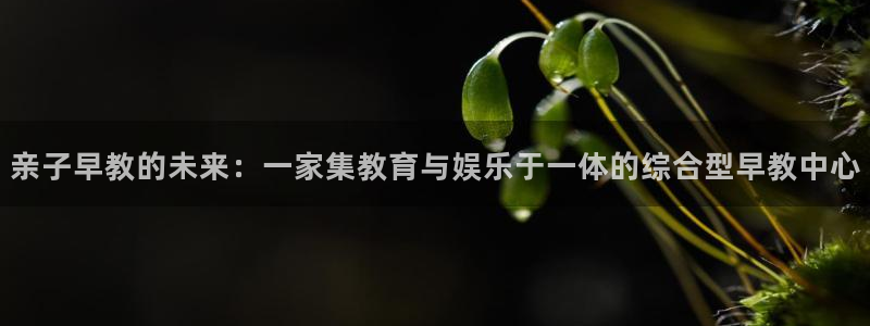 天顺娱乐主管都干什么的：亲子早教的未来：一家集教育与娱乐于一体的综合型早教中心