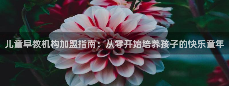 天顺娱乐木78778卧：儿童早教机构加盟指南：从零开始培养孩子的快乐童年